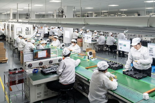 望政策落实，引家电革新之源